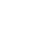 Icon home 2