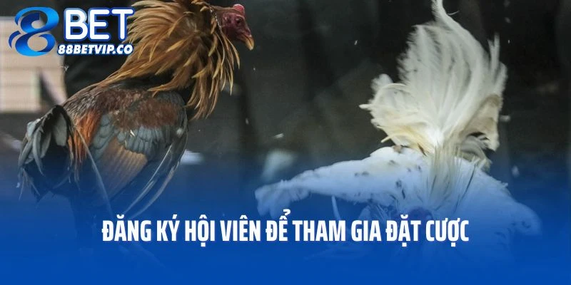 Đăng ký hội viên để tham gia đặt cược tại sảnh game