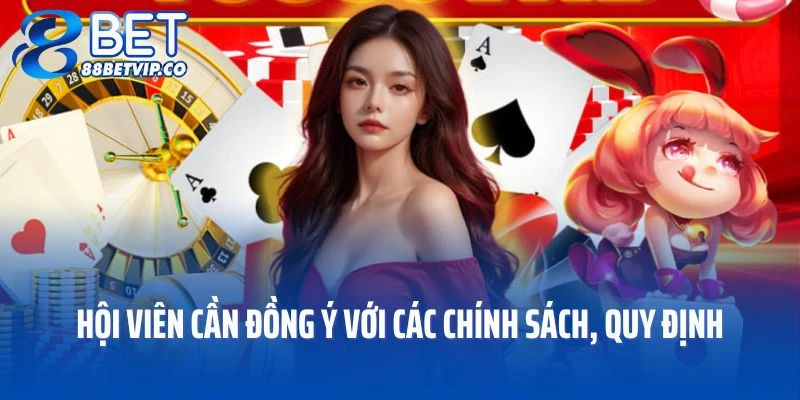 Hội viên cần đồng ý với các chính sách, quy định mà nhà cái đưa ra