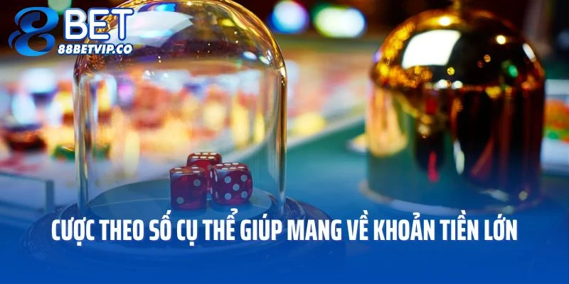 Cược theo số cụ thể giúp mang về khoản tiền lớn